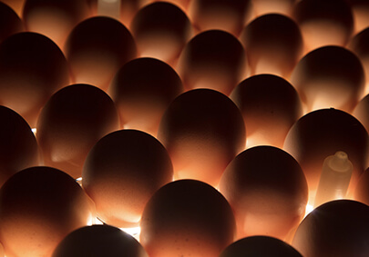 首页| PG电子游戏中国区官方网站