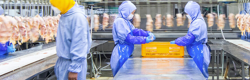 首页| PG电子游戏中国区官方网站