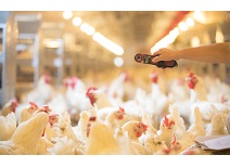 首页| PG电子游戏中国区官方网站