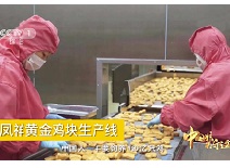 首页| PG电子游戏中国区官方网站