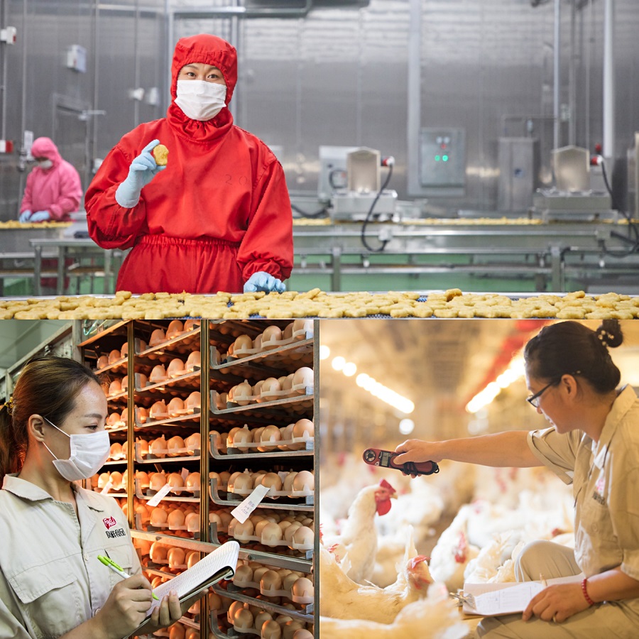 首页| PG电子游戏中国区官方网站