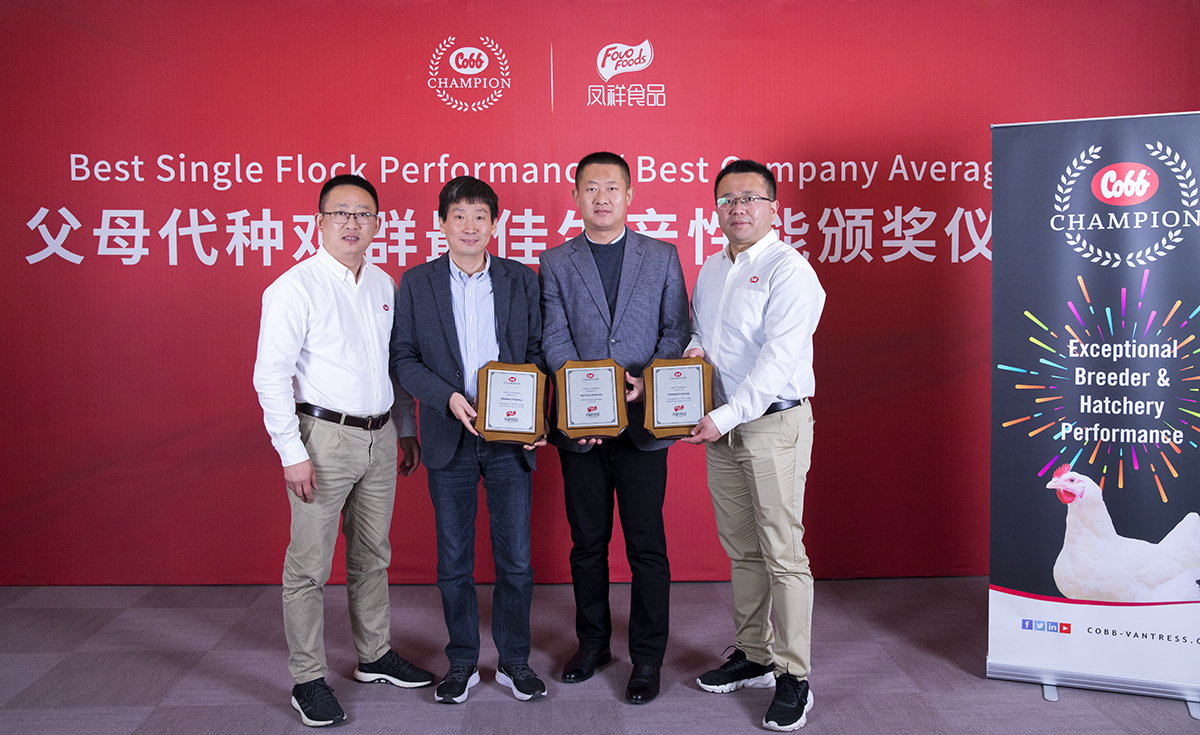 首页| PG电子游戏中国区官方网站