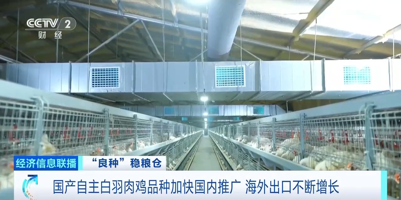 首页| PG电子游戏中国区官方网站