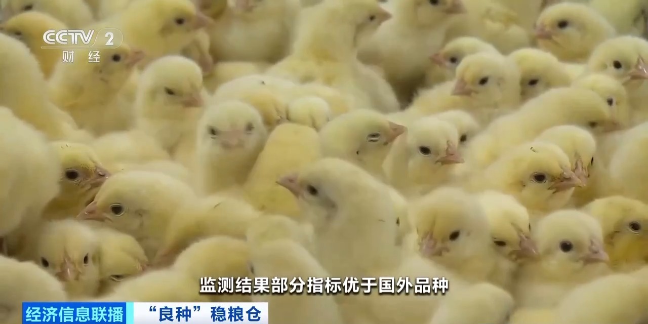 首页| PG电子游戏中国区官方网站