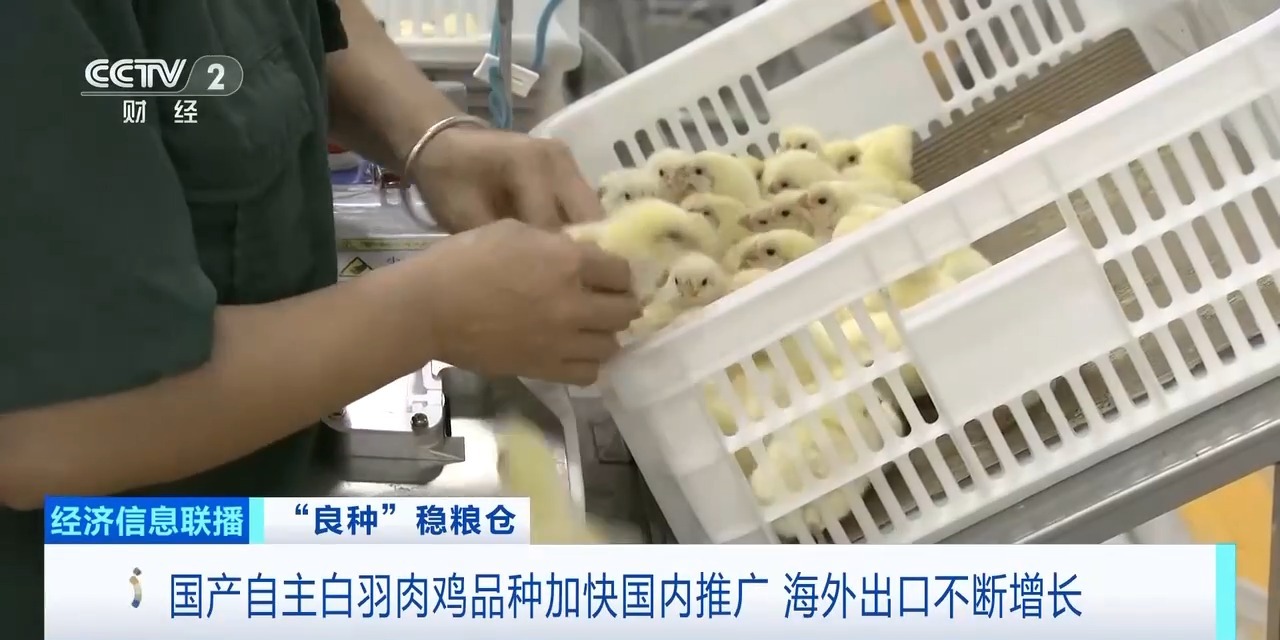首页| PG电子游戏中国区官方网站