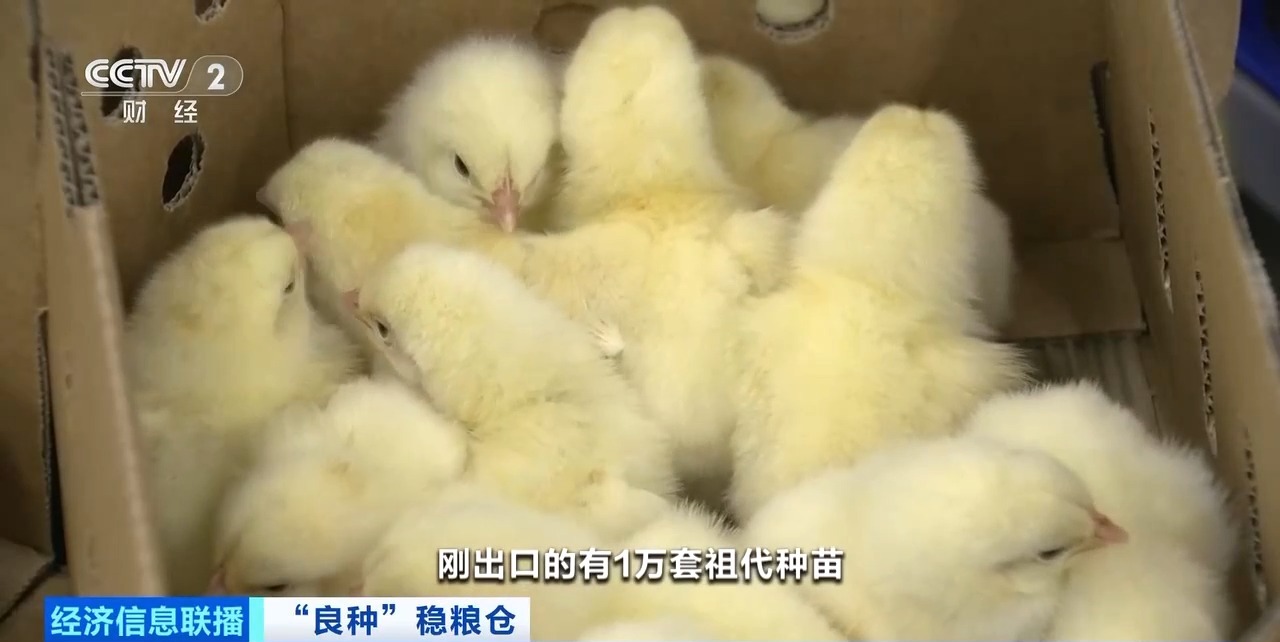首页| PG电子游戏中国区官方网站